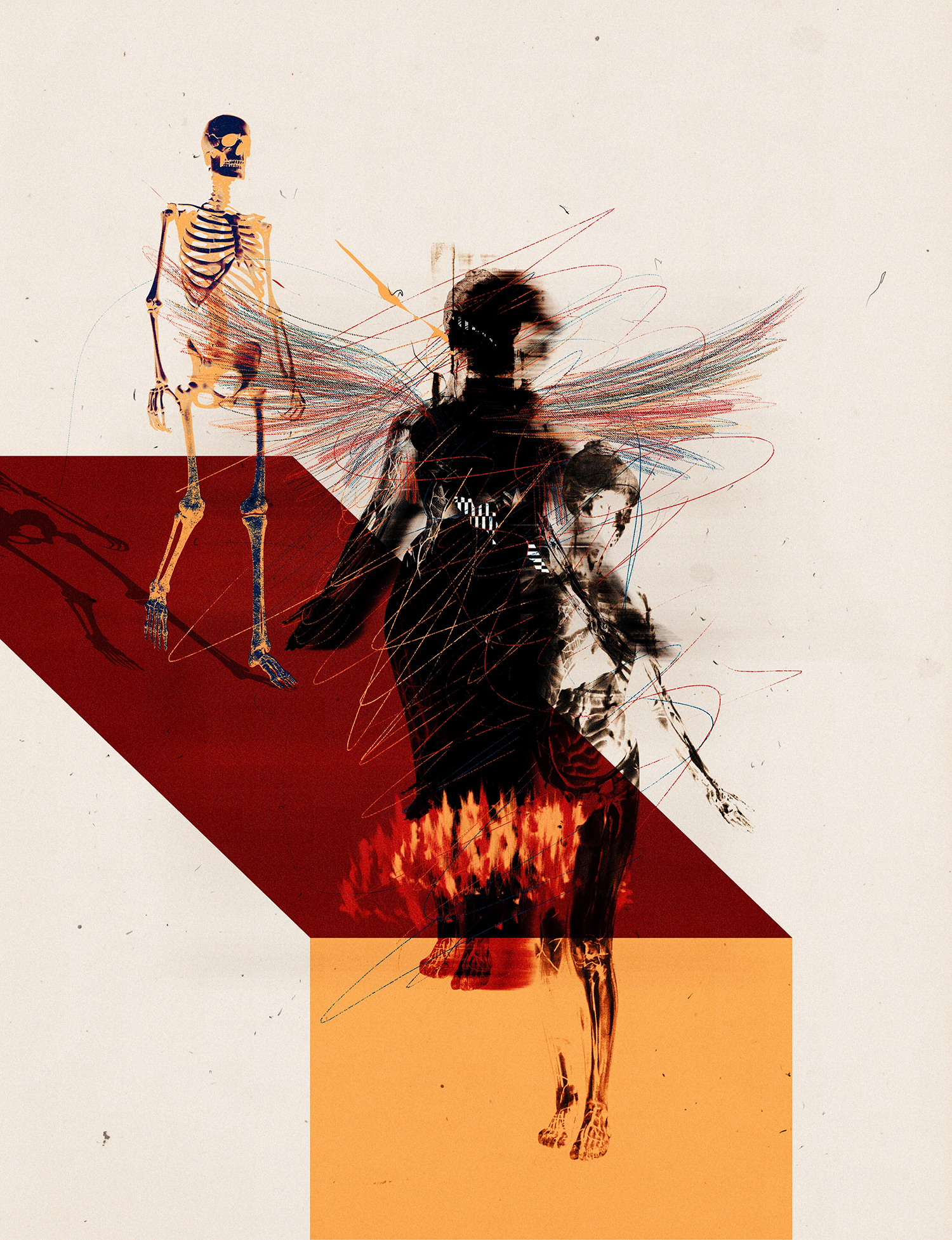 Fire Angel (Website)